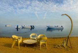 �����. ���������� ������������.