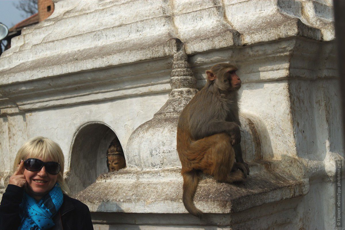   ,  2010:    :  . Monkey Temple. .