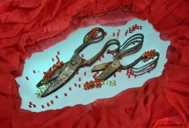 Керала: Красные Ножницы и Завтрак для двоих. Керала: Красные Ножницы и Завтрак для двоих.