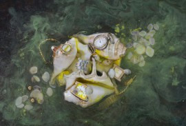 Тибетские Хроники. Время Yellow: Галактики Манипуры. Ладакх. Тибетские Хроники. Время Yellow: Галактики Манипуры. Ладакх.