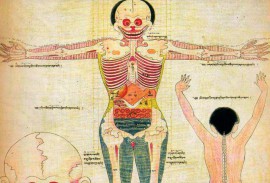 Краткая история тибетской медицины. Краткая история тибетской медицины.