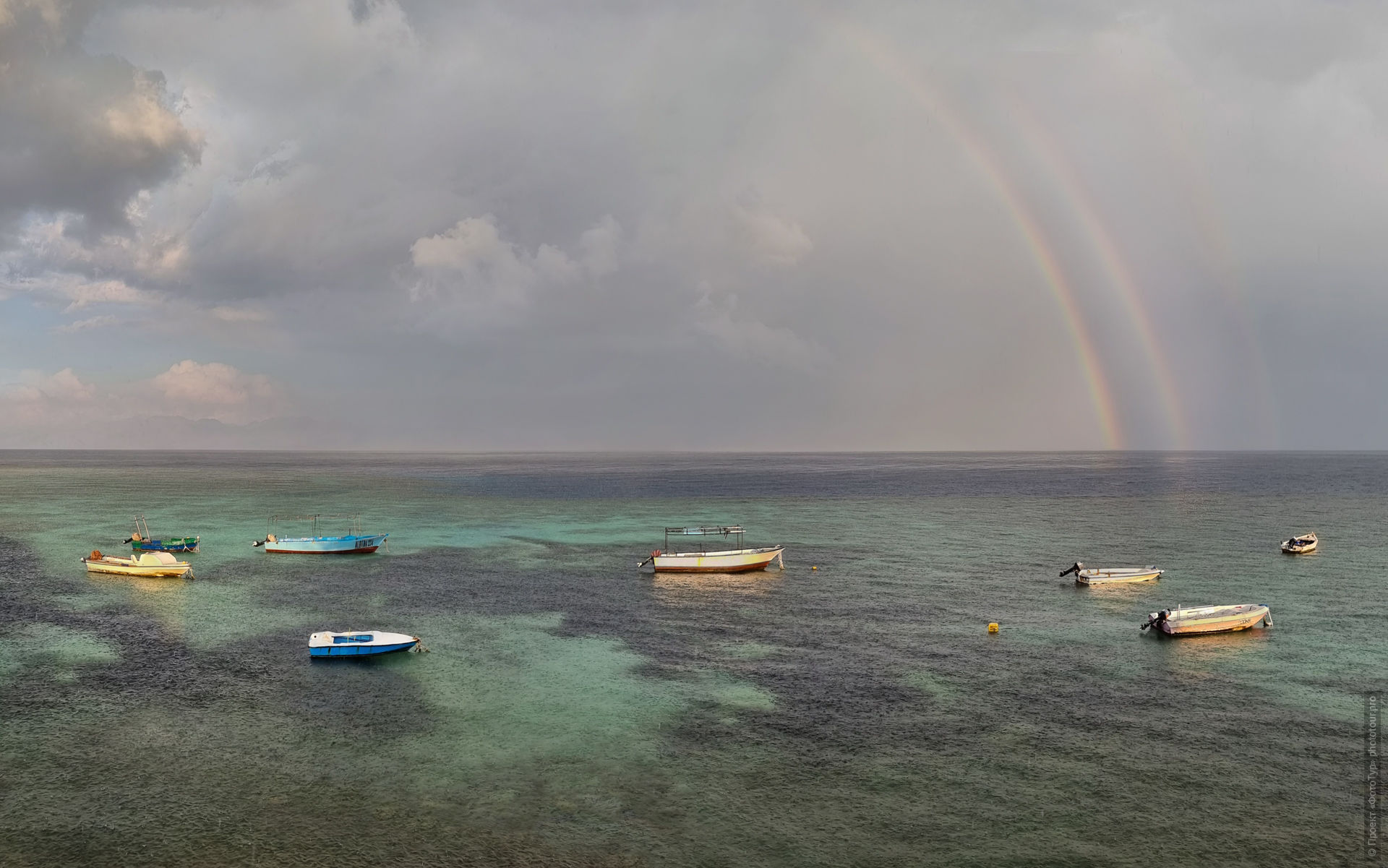 Красное море, Дахаб, Синай, Египет.