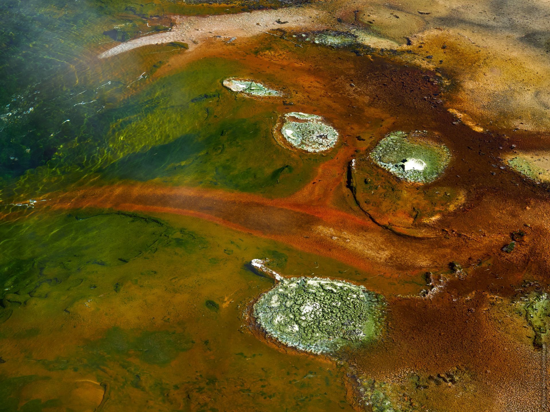 Drawings of alpine geysers. Photo tour / tour Tibet of Lake-1: Pangong, Tso Moriri, Tso Kar, Tso Chiagar, Dance of Tsam on Lake Pangong, 08.07.-17.07.2022.