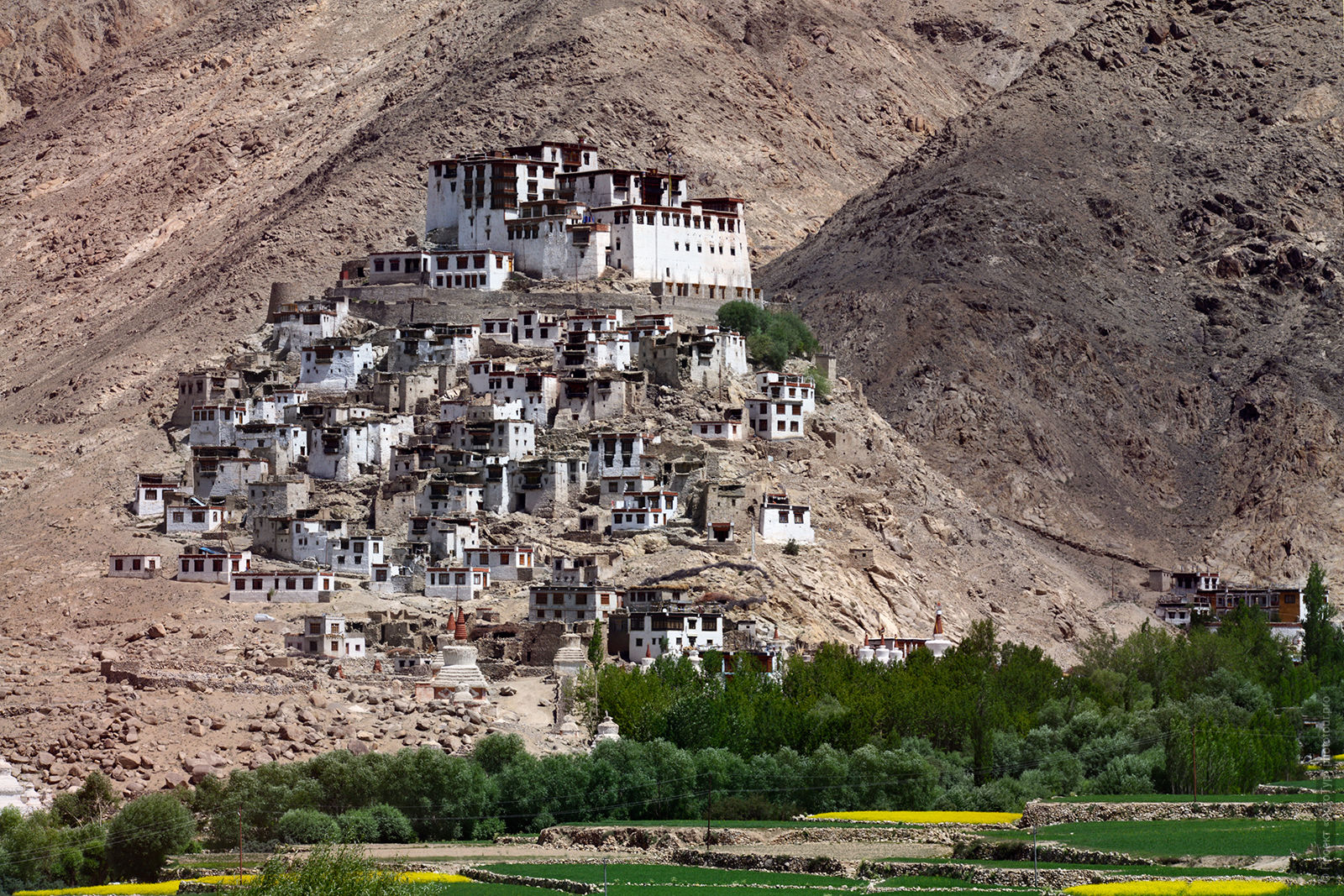 Buddhist monastery Chamdey Gonpa. Budget tour Ladakh and Nubra, 04.08. - 13.08. 2019.