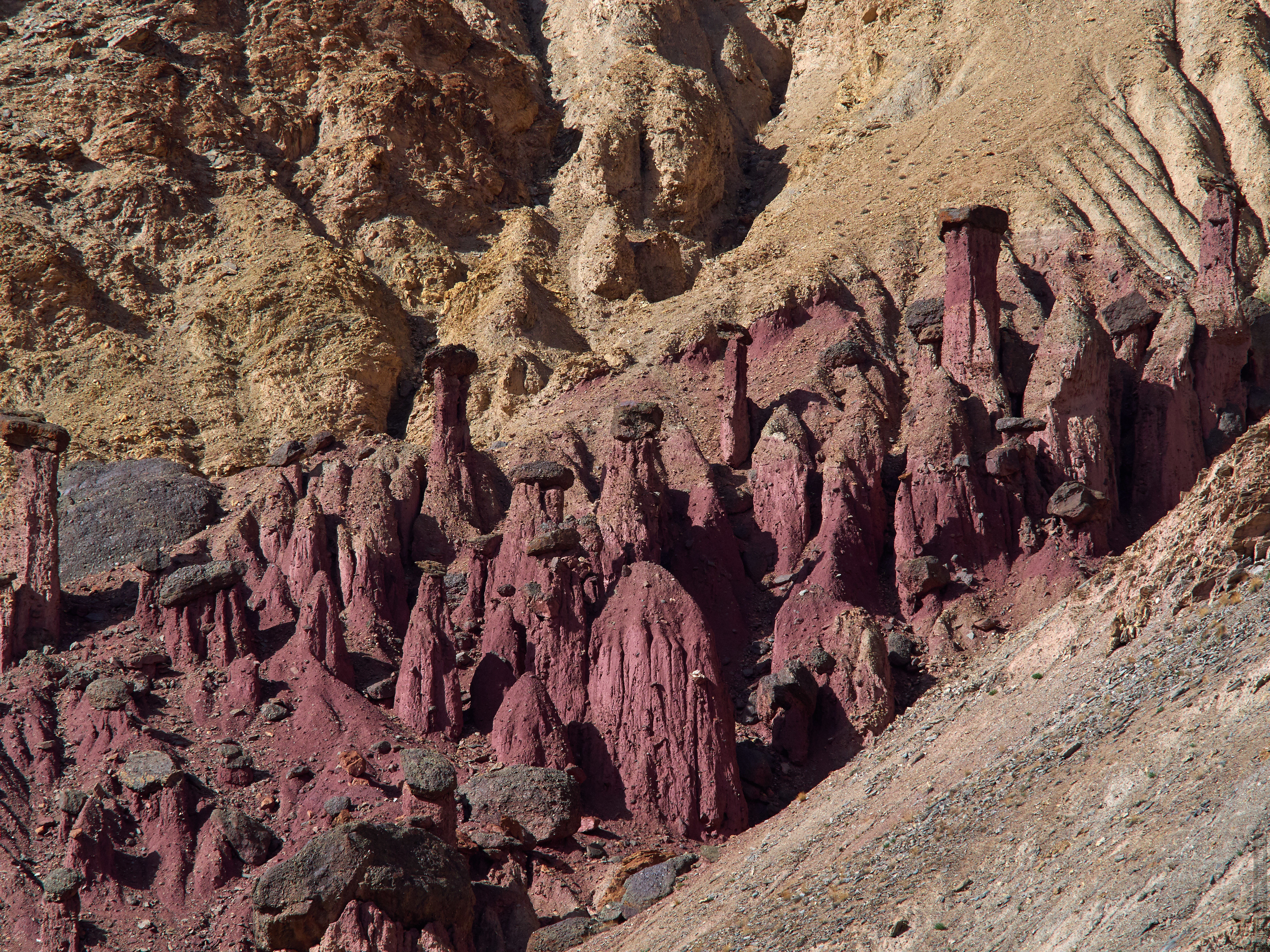 Stone mushrooms in the Burgundy Gorge, Ladakh. Expedition Tibet Lake-2: Pangong, Tso Moriri, Tso Kar, Tso Startsapak, Leh-Manali highway.