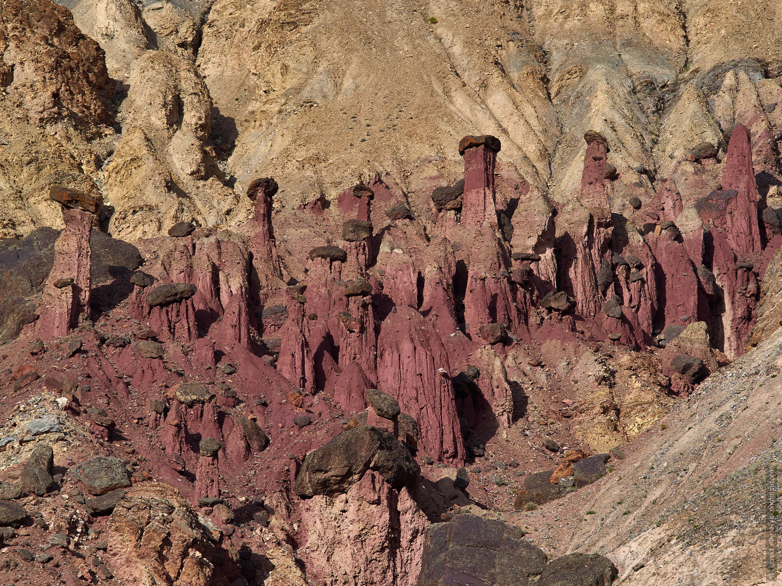Stone mushrooms of Burgundy Gorge. Tour Legends of Tibet: Ladakh, Lamayuru, Da Khan and Nubra, 19.09. - 28.09.2019.