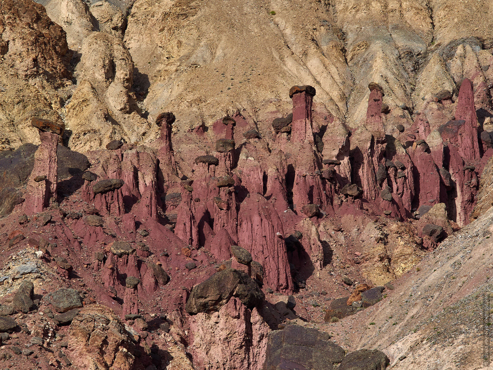 Stone Mushrooms in the Burgundy Gorge. Photo tour / tour Tibet of Lake-1: Pangong, Tso Moriri, Tso Kar, Tso Chiagar, Dance of Tsam on Lake Pangong, 08.07.-17.07.2022.