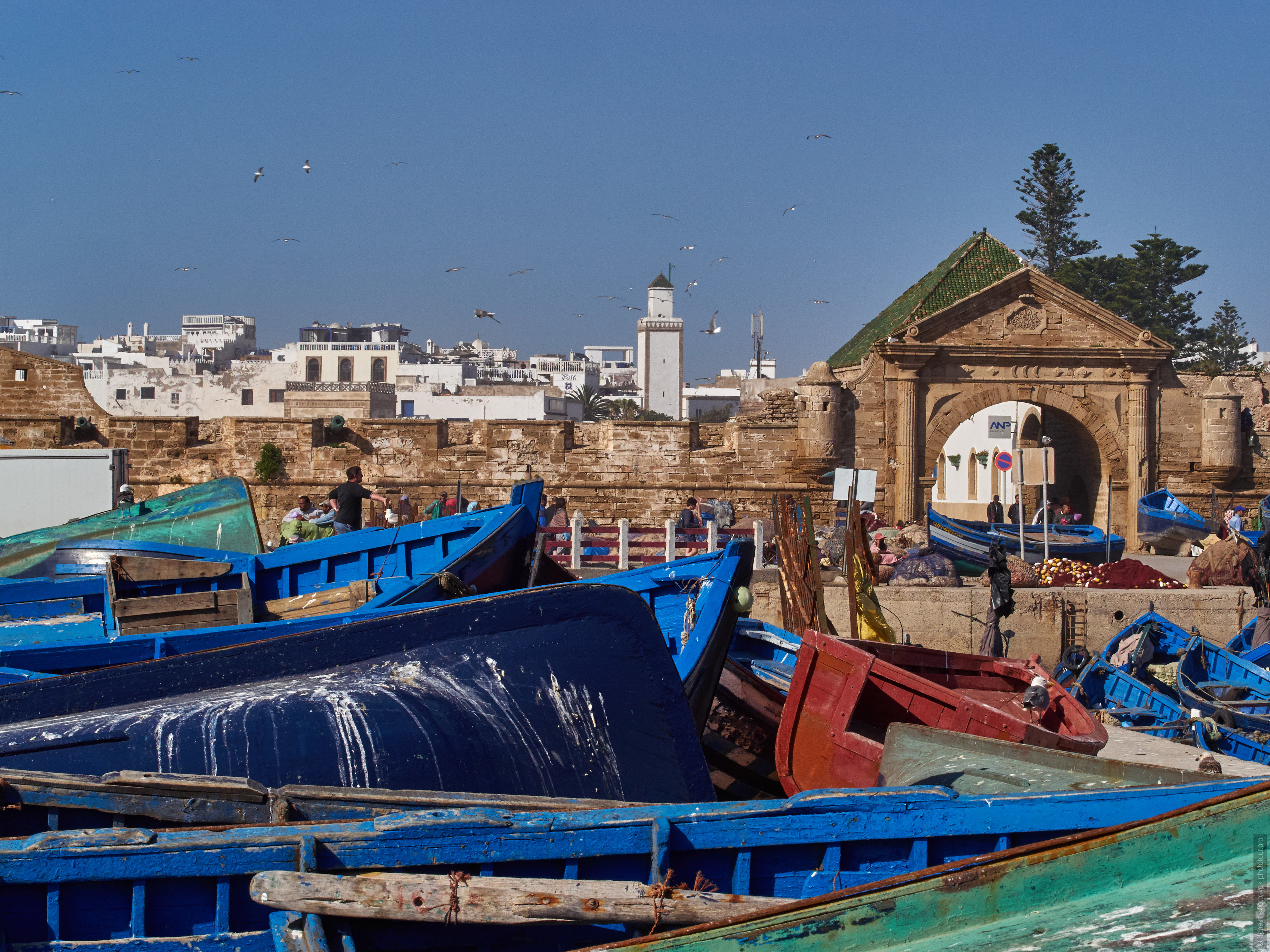 Port of Essaouira. Adventure photo tour: medina, cascades, sands and ports of Morocco, April 4 - 17, 2020.