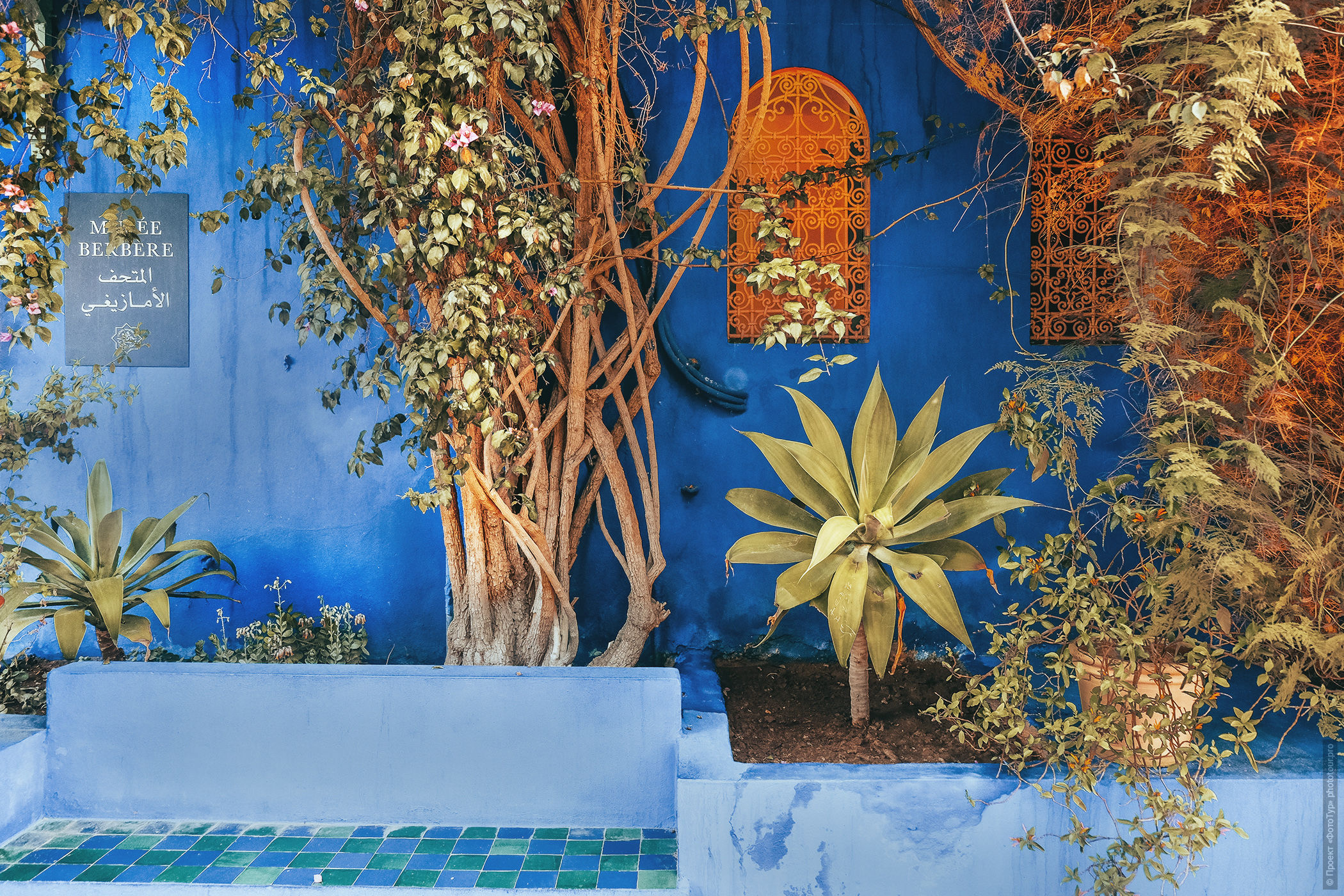 Gardens Majorelle. Adventure photo tour: medina, cascades, sands and ports of Morocco, April 4 - 17, 2020.