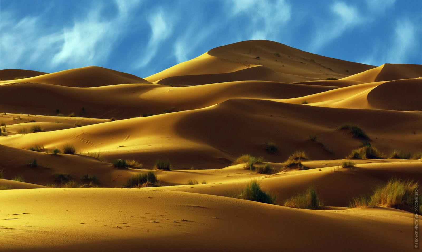 Sands of the Sahara, Merzouga, Morocco. Adventure photo tour: medina, cascades, sands and ports of Morocco, April 4 - 17, 2020.