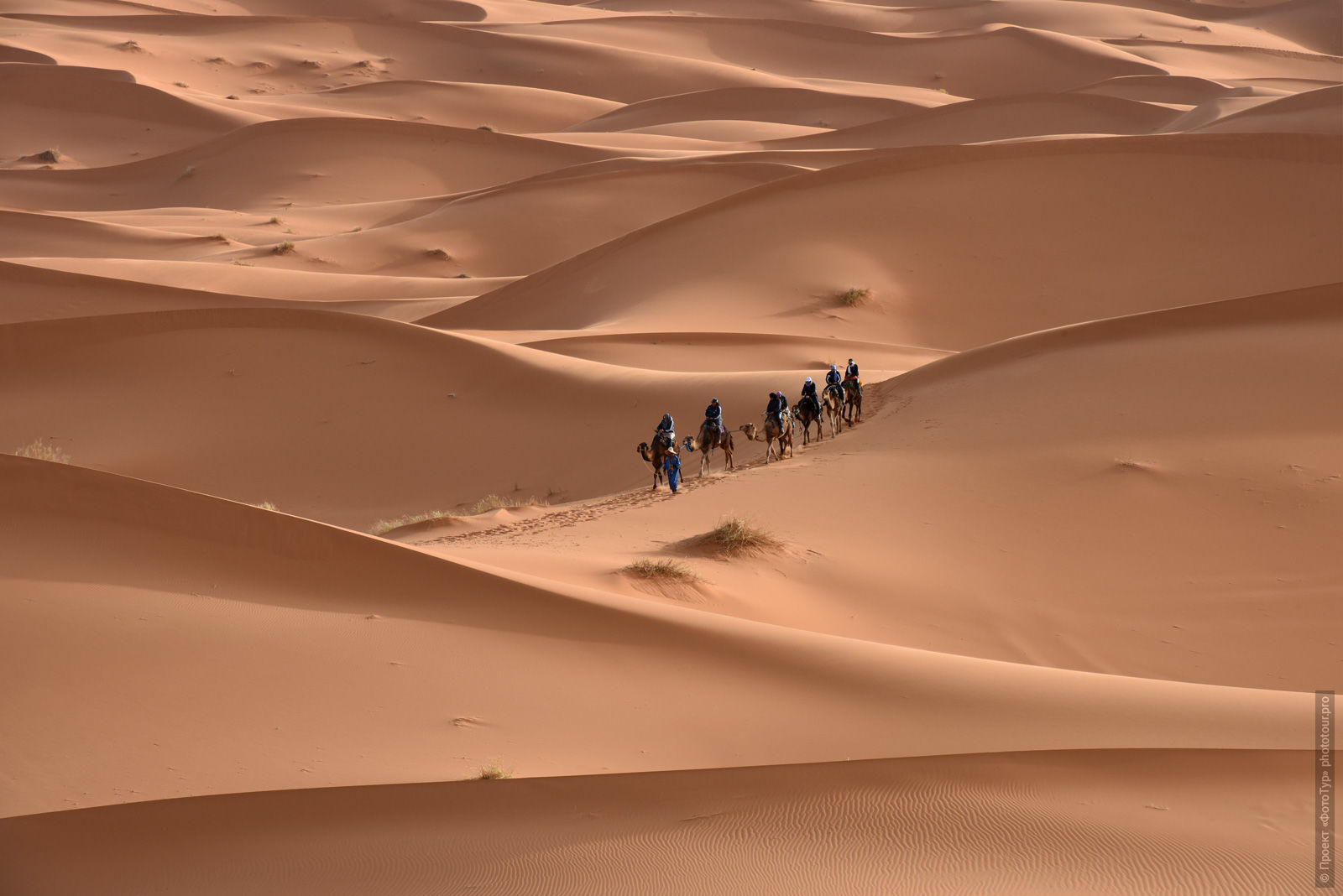 Evening walk through the dunes of Merzouga, Morocco. Adventure photo tour: medina, cascades, sands and ports of Morocco, April 4 - 17, 2020.