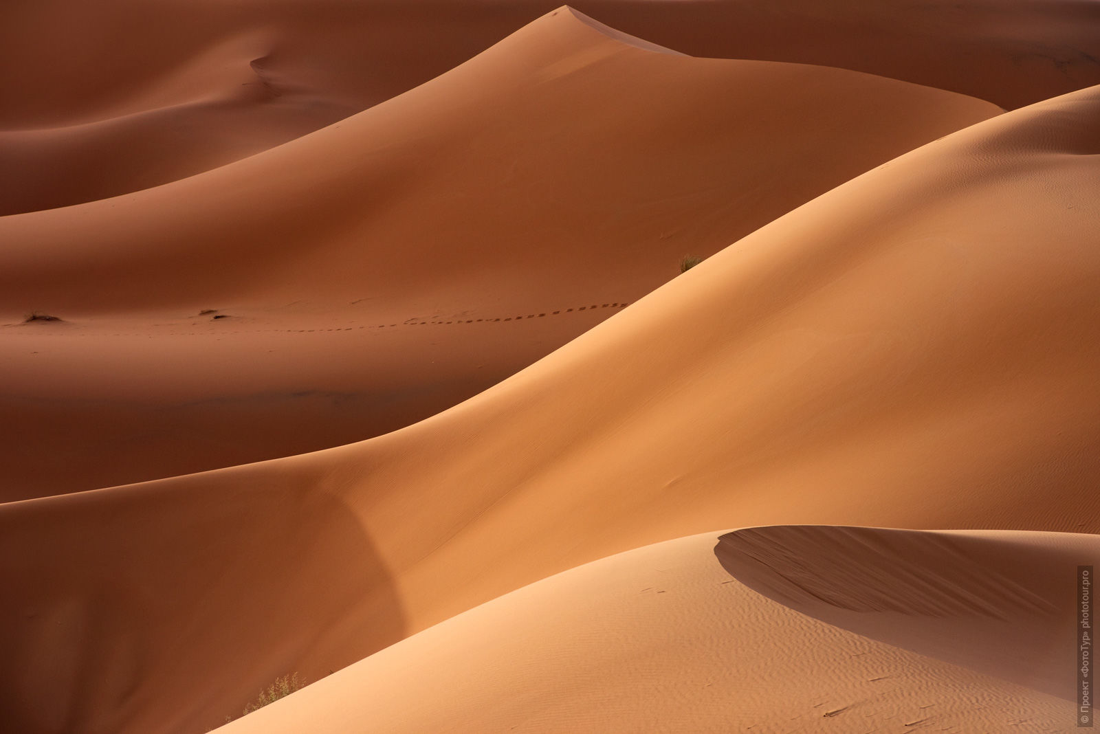 Dunes of the Sahara, Merzouga, Morocco. Adventure photo tour: medina, cascades, sands and ports of Morocco, April 4 - 17, 2020.