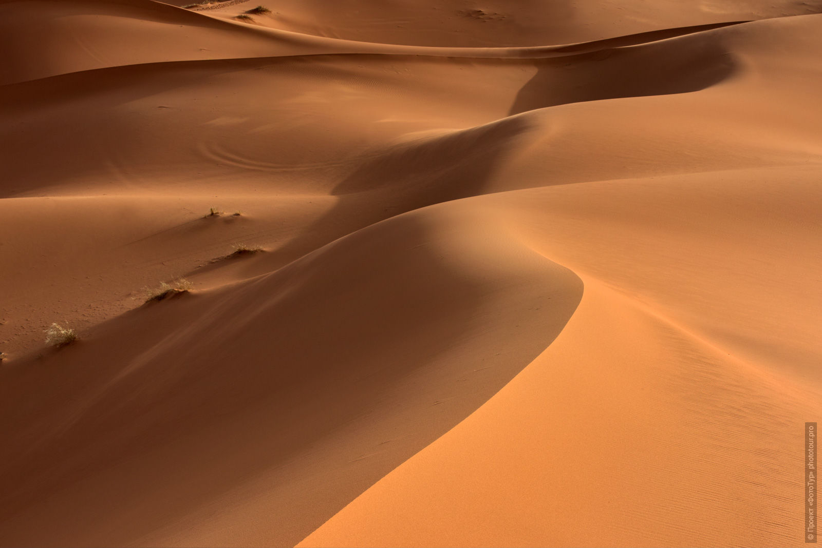 Dunes of Merzouga, Morocco. Adventure photo tour: medina, cascades, sands and ports of Morocco, April 4 - 17, 2020.