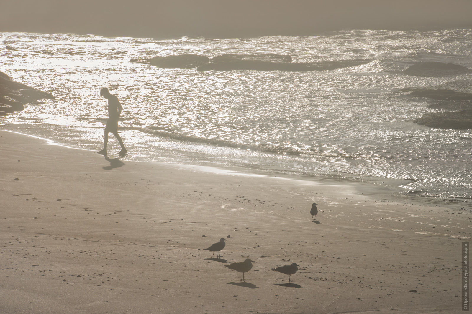 The golden shores of Essaouira. Adventure photo tour: medina, cascades, sands and ports of Morocco, April 4 - 17, 2020.