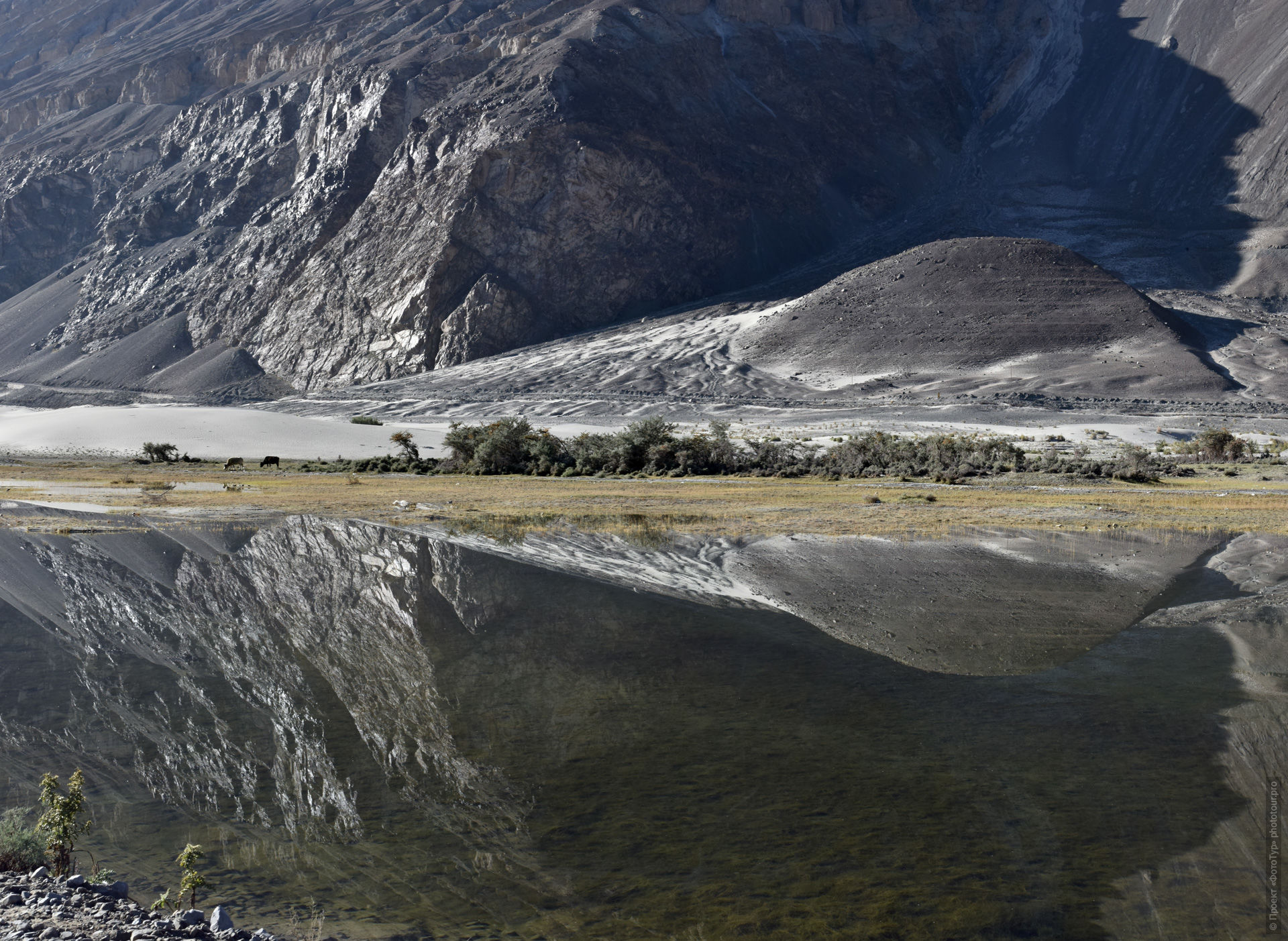Lake in the Nubra Valley. Expedition Tibet Lake-2: Pangong, Tso Moriri, Tso Kar, Tso Startsapak, Leh-Manali highway.