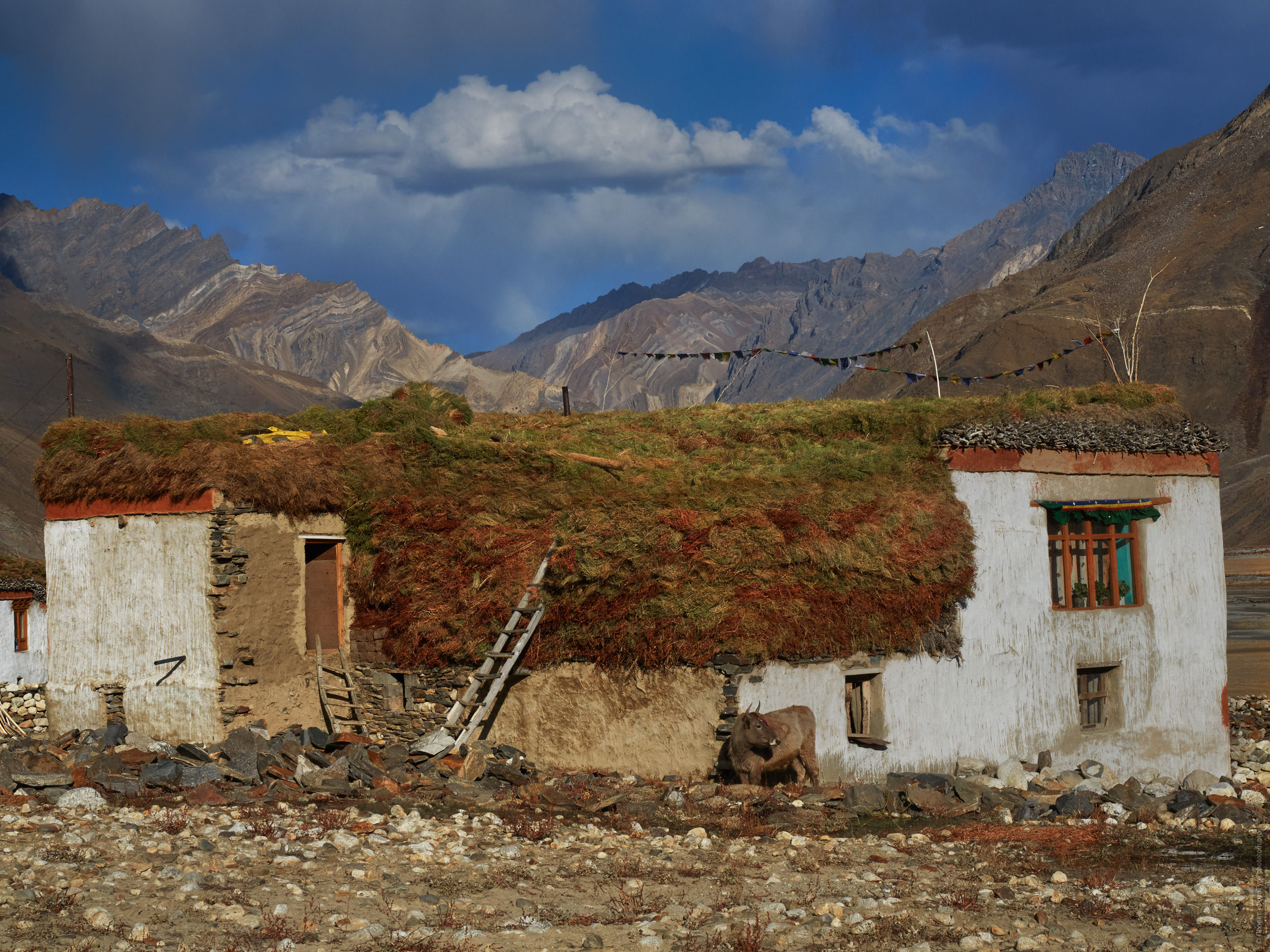 Autumn in Zanskar. Budget photo tour Legends of Tibet: Zanskar, September 15 - September 26, 2021.