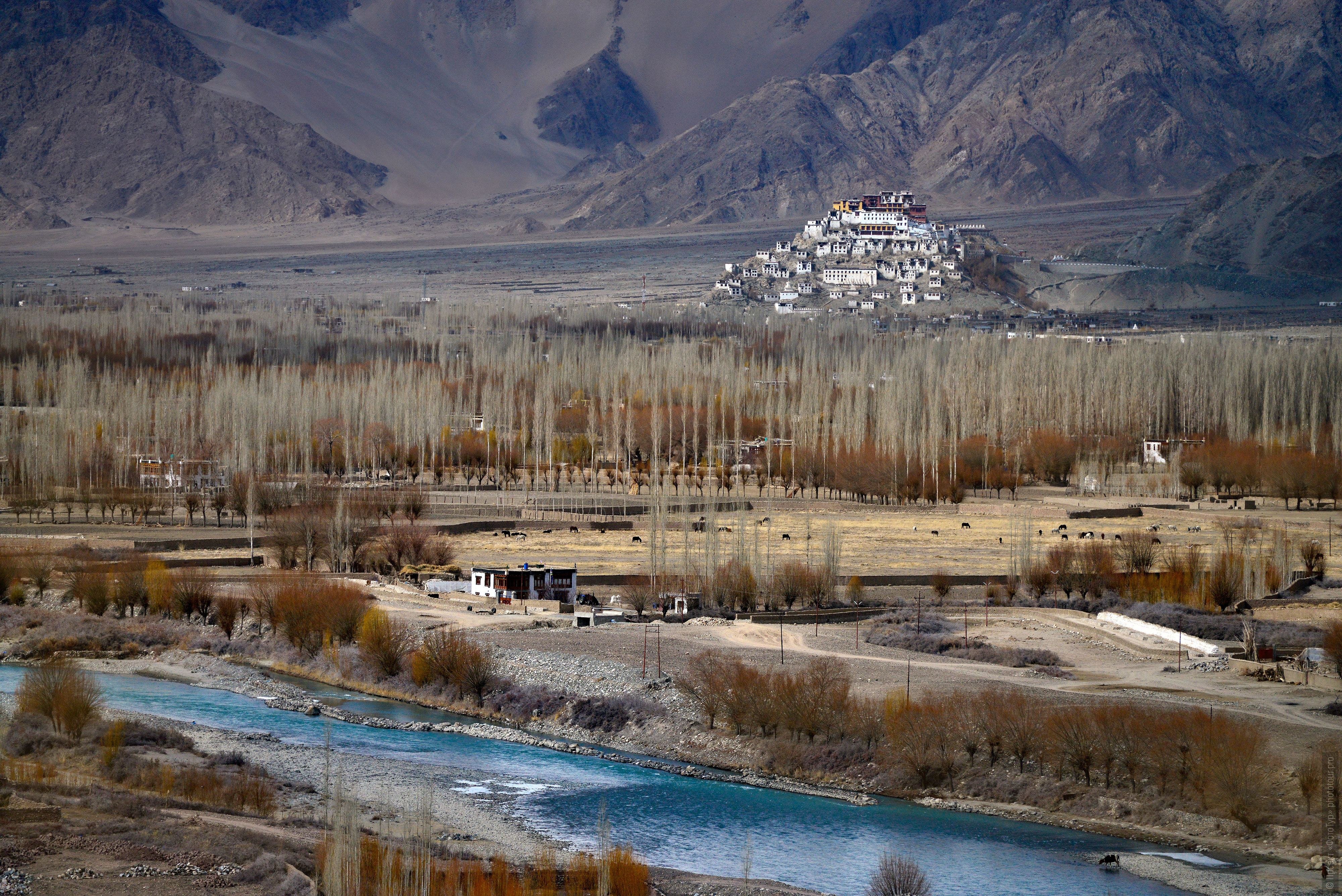 Buddhist monastery Tiksey Gonpa. Phototour Incredible Himalayas-2: Tsam dance at Tiksei monastery + Tso Moriri lake, Ladakh, Tibet, 11.11.-20.11.2020.